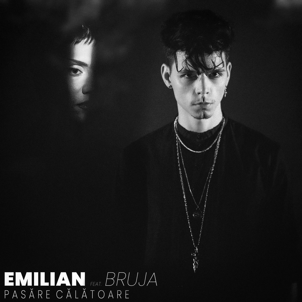 Album cover of Pasăre călătoare