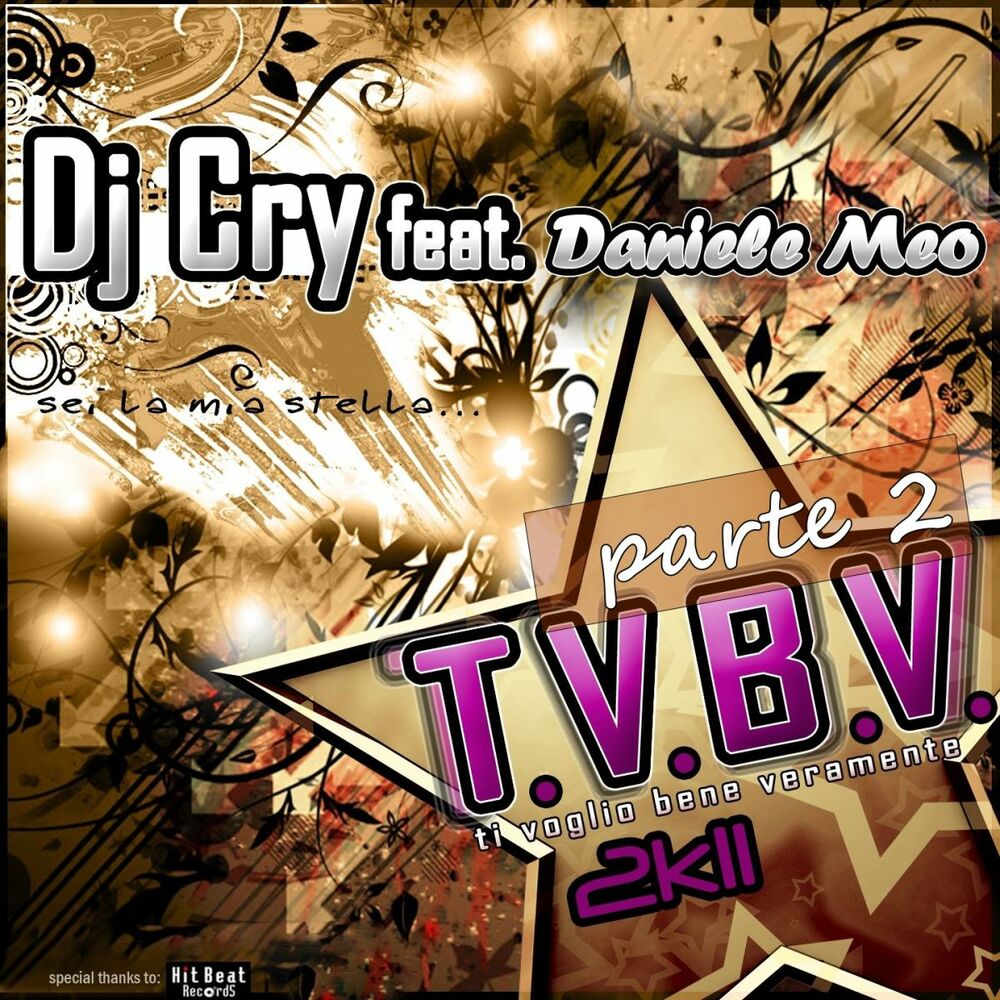 Picture of T.V.B.V. 2K11, vol. 2