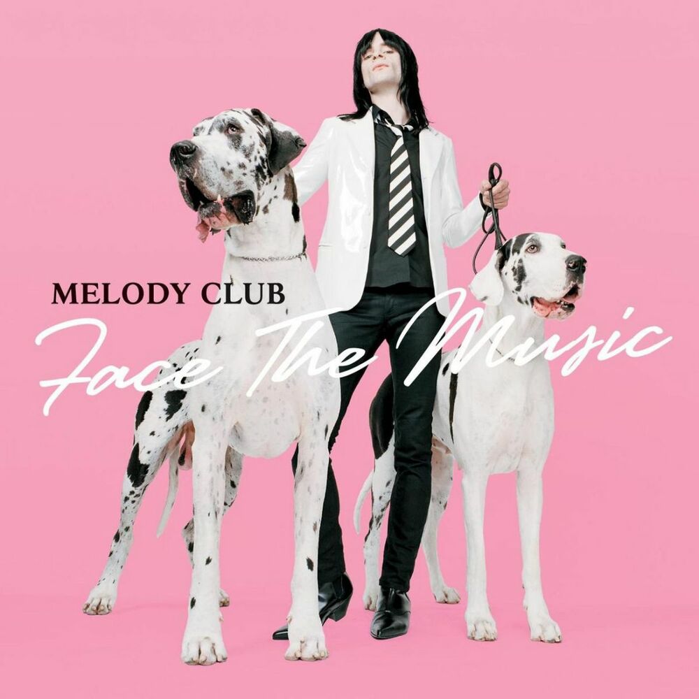Picture of Face the Music