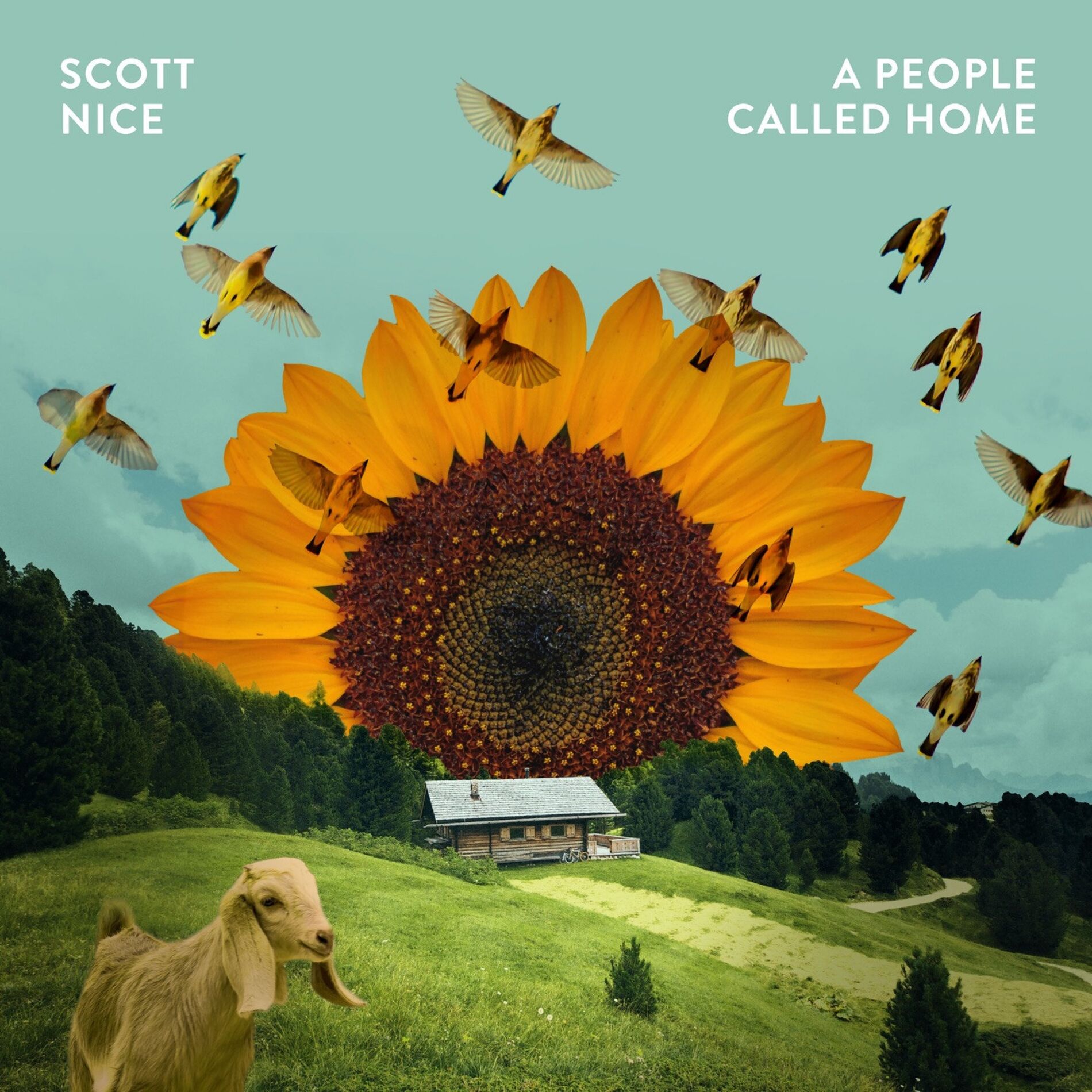 Album cover of A People Called Home