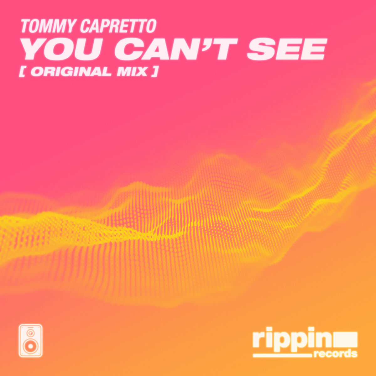 Album cover of You Can't See