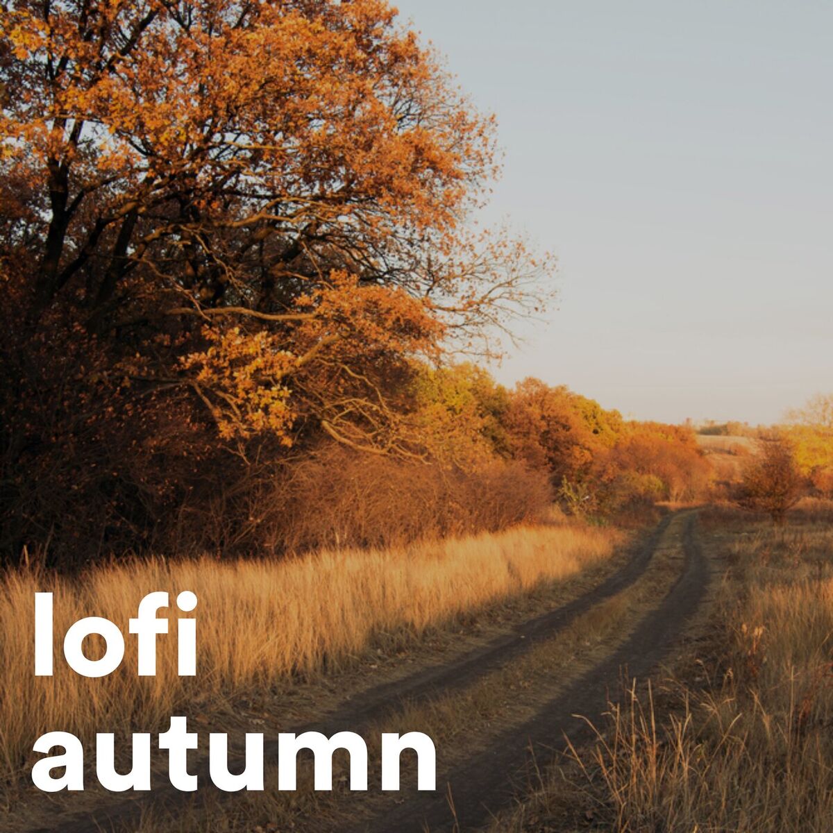 Album cover of lofi autumn