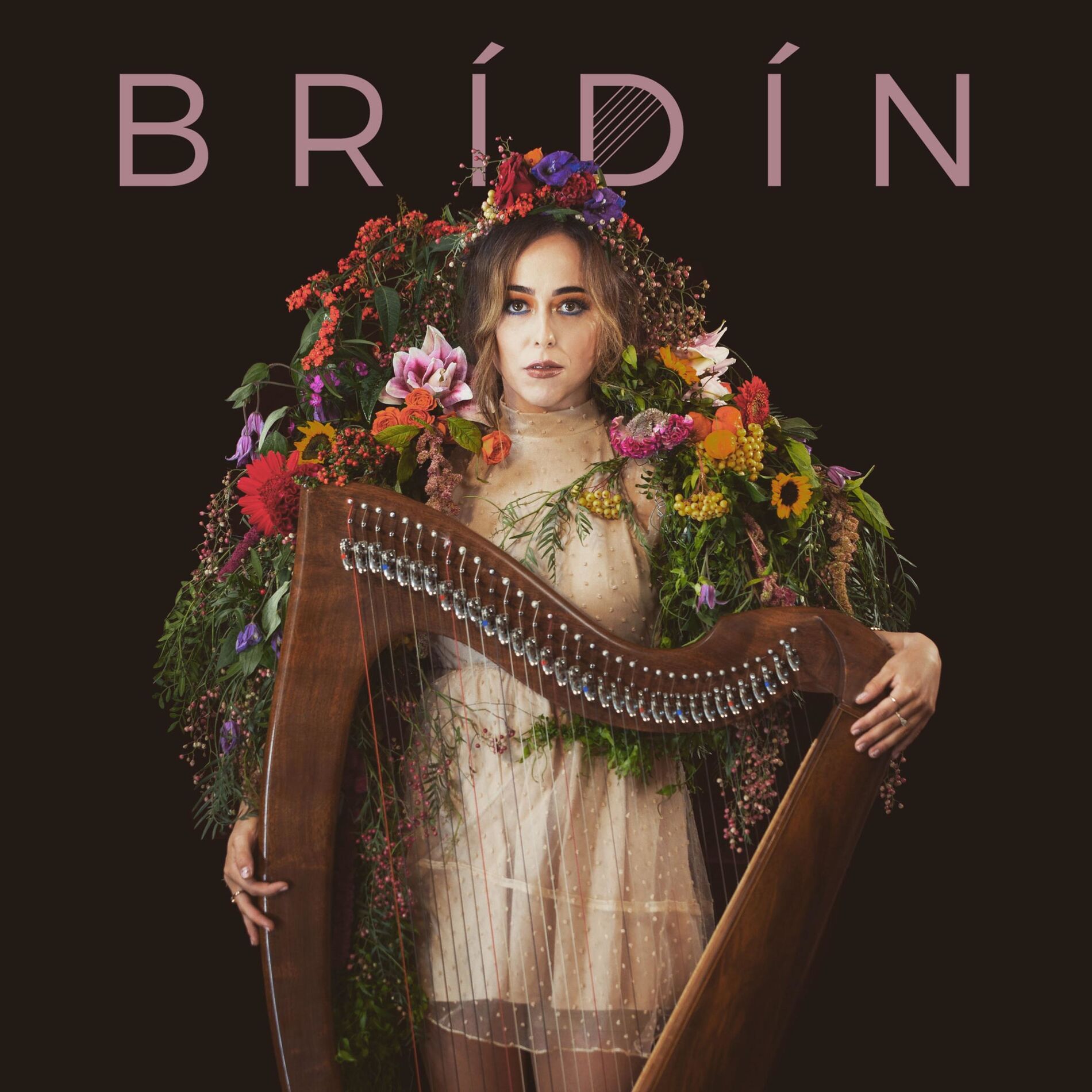 Album cover of BRÍDÍN