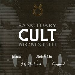 Cover of Sanctuary 1993 Mixes