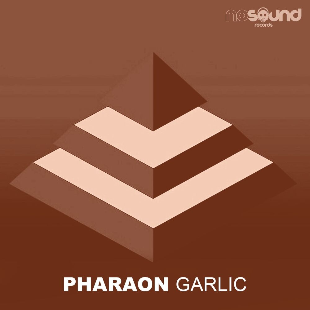 Picture of Garlic