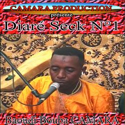 Cover of Baoudi Bouba Camara