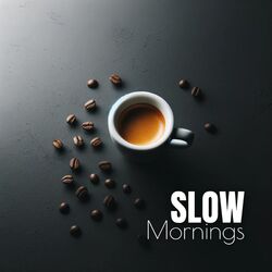 Cover of Slow Mornings: Coffee Cup Contemplation, Peaceful Moments, Simple Pleasures