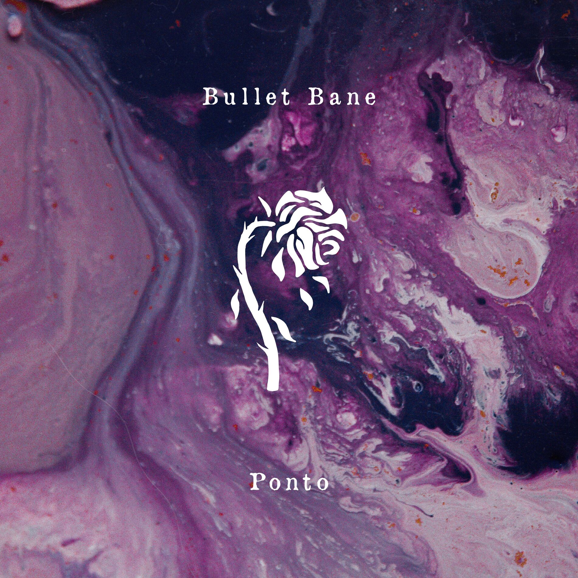Album cover of Pulso