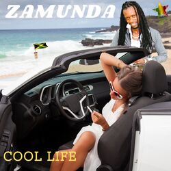 Cover of Cool Life