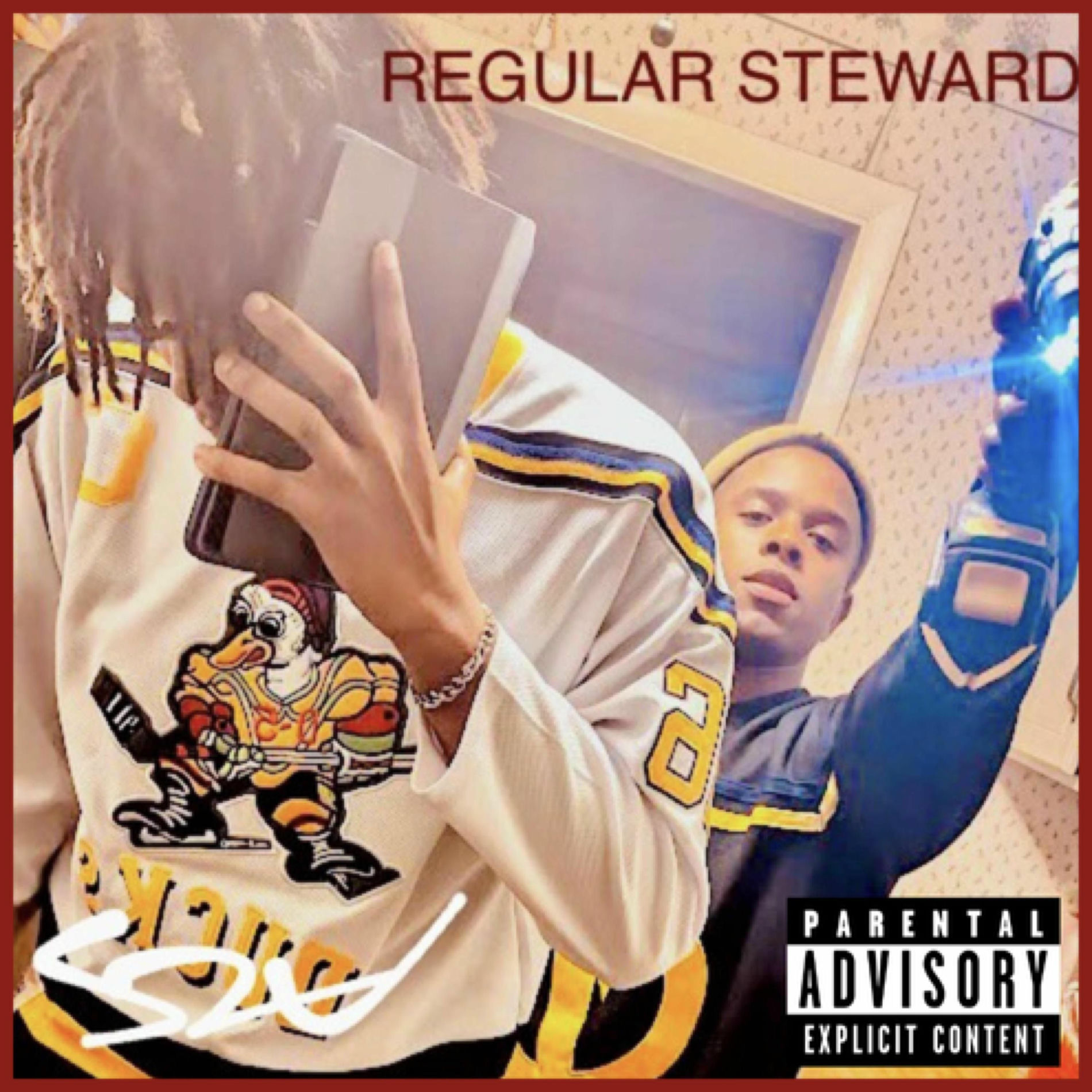 Album cover of REGULAR STEWARD