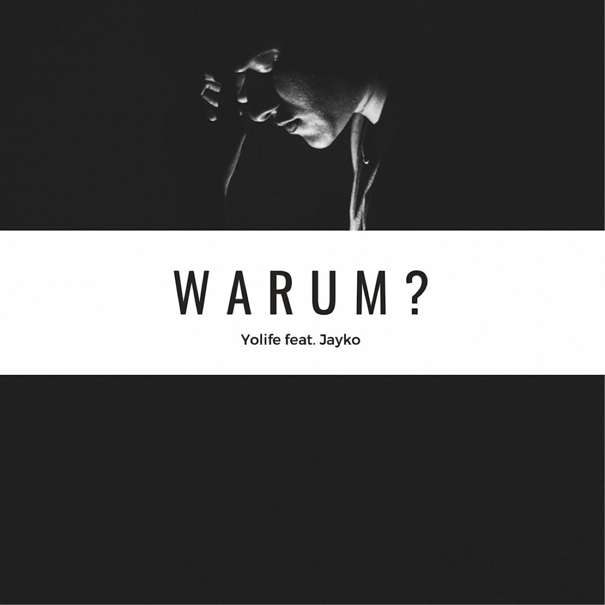 Album cover of Warum?