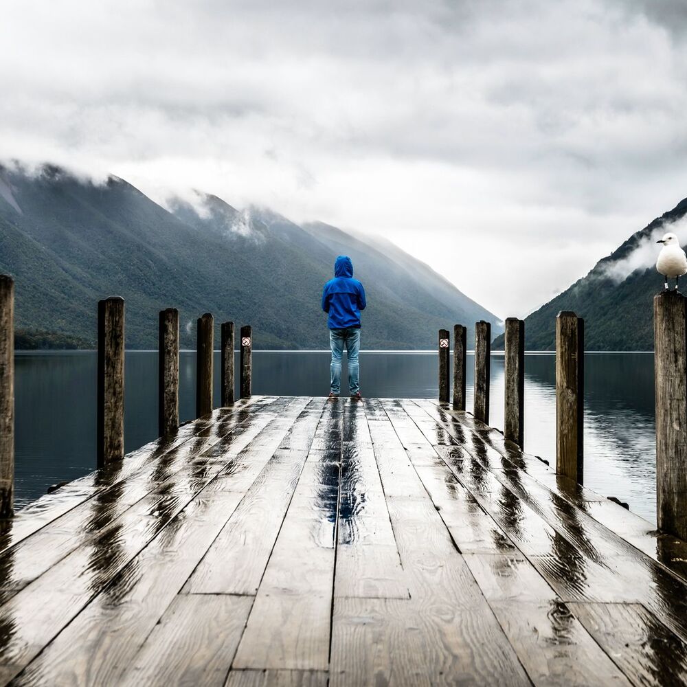 Picture of 50 Meditative Waters: Dock Diaries