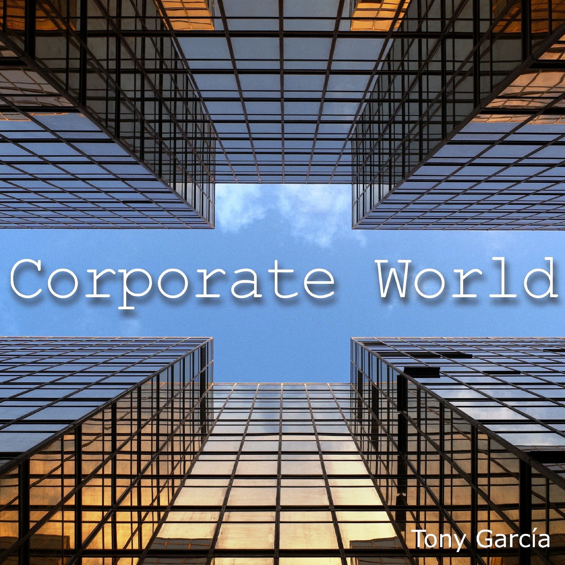 Album cover of Corporate World