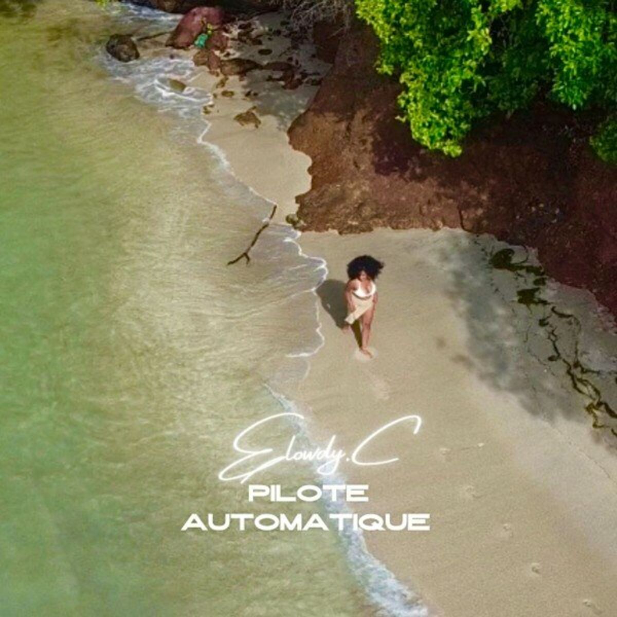 Album cover of Pilote automatique