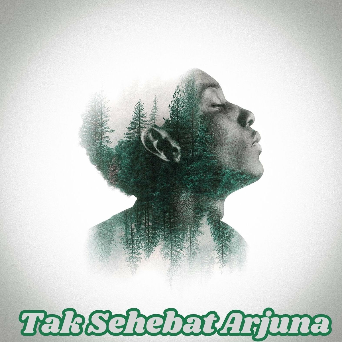 Album cover of Tak Sehebat Arjuna