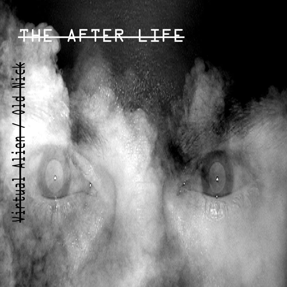 Picture of The After Life