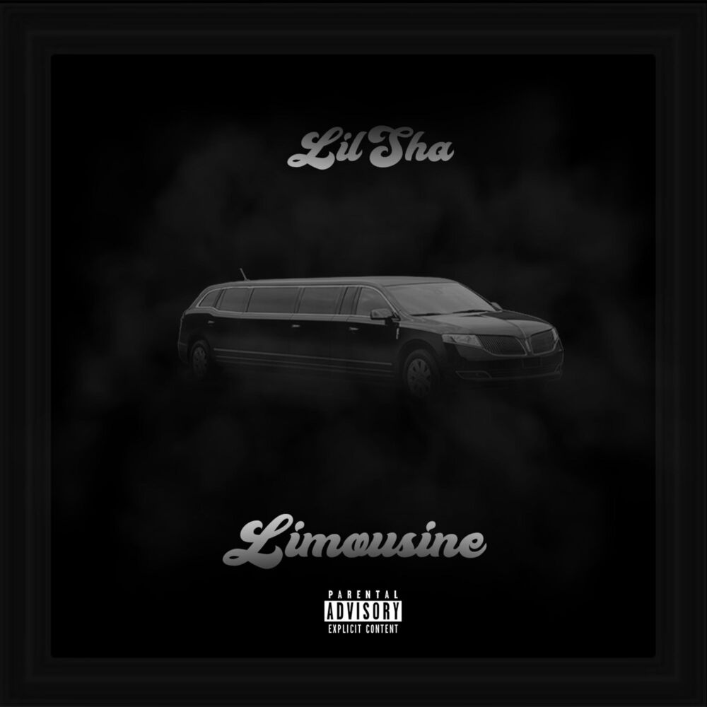 Picture of Limousine