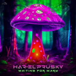 Cover of Waiting for Mary