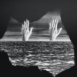 Cover of double vision