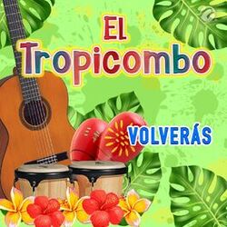 Cover of Volverás