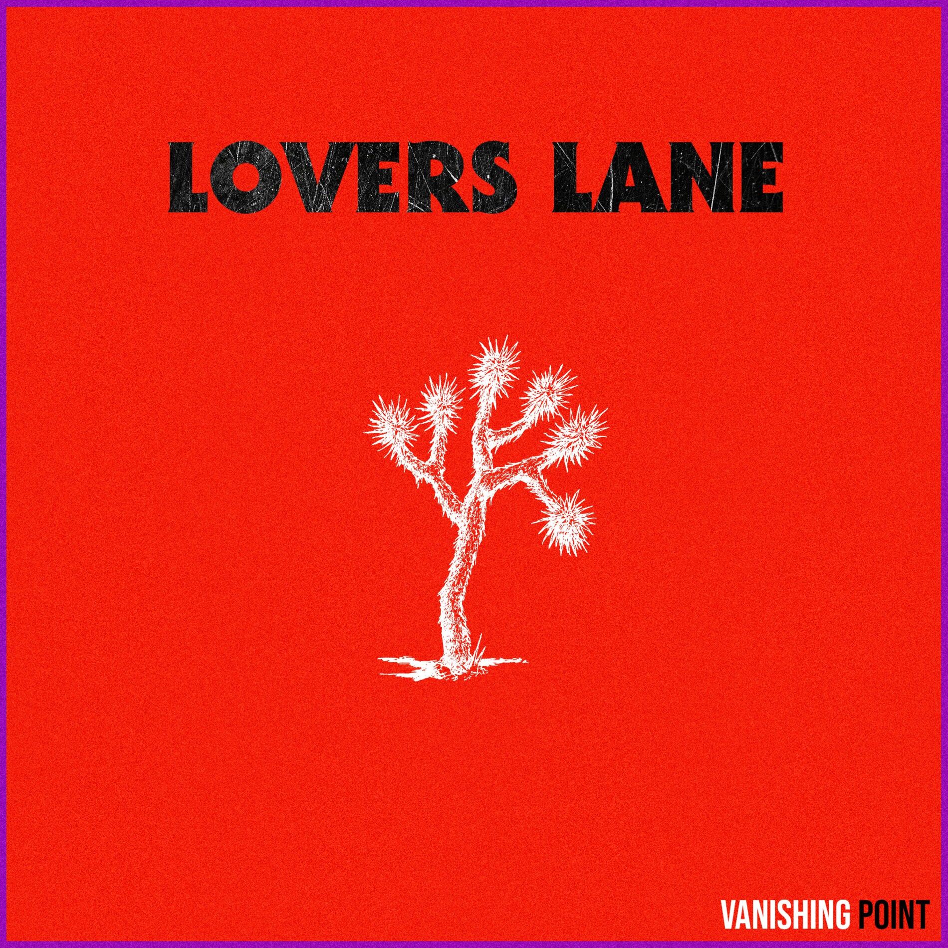 Album cover of VANISHING POINT