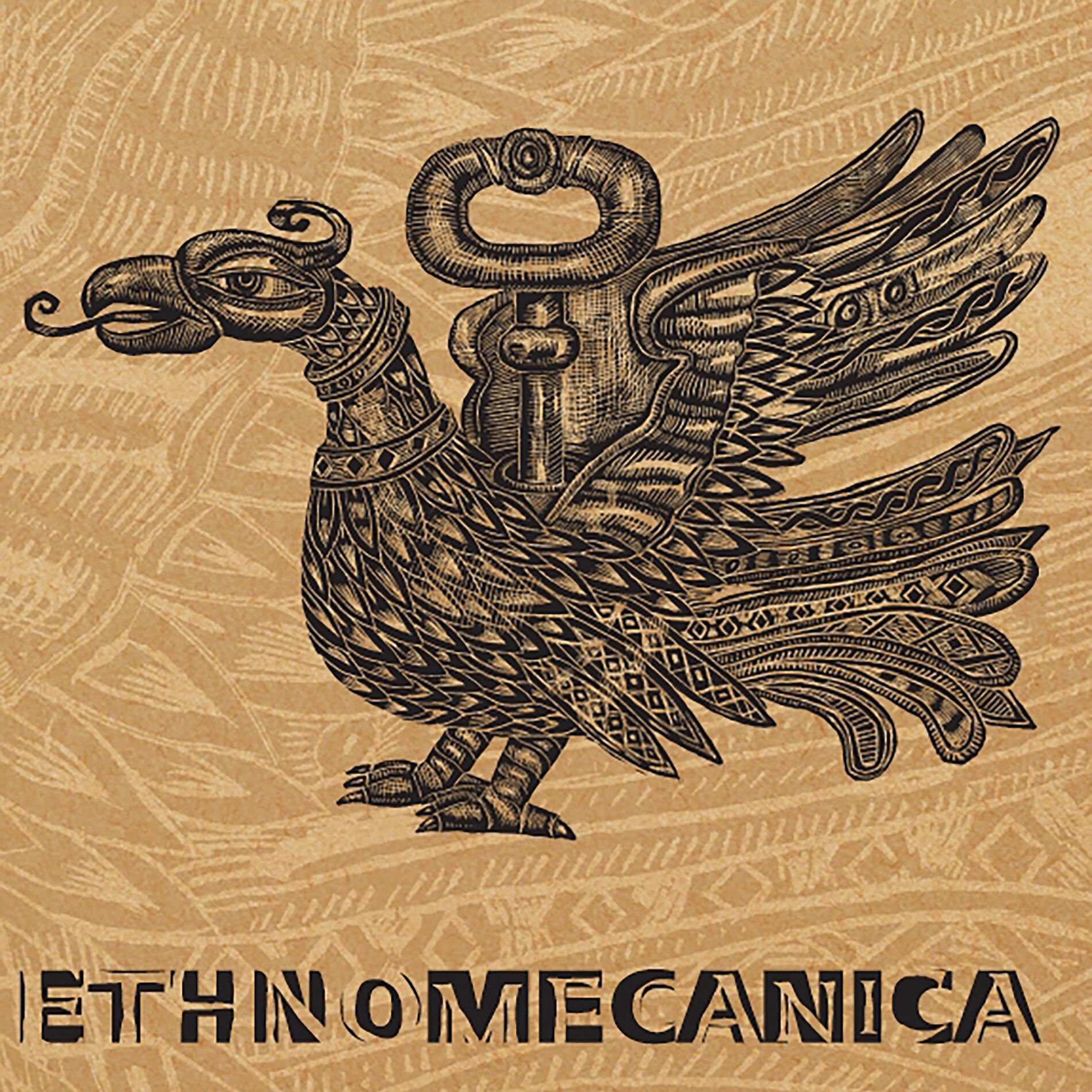 Album cover of Videli Noci
