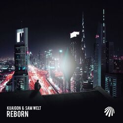 Cover of Reborn