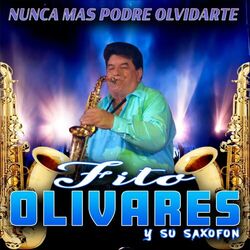 Cover of Nunca Más Podré Olvidarte