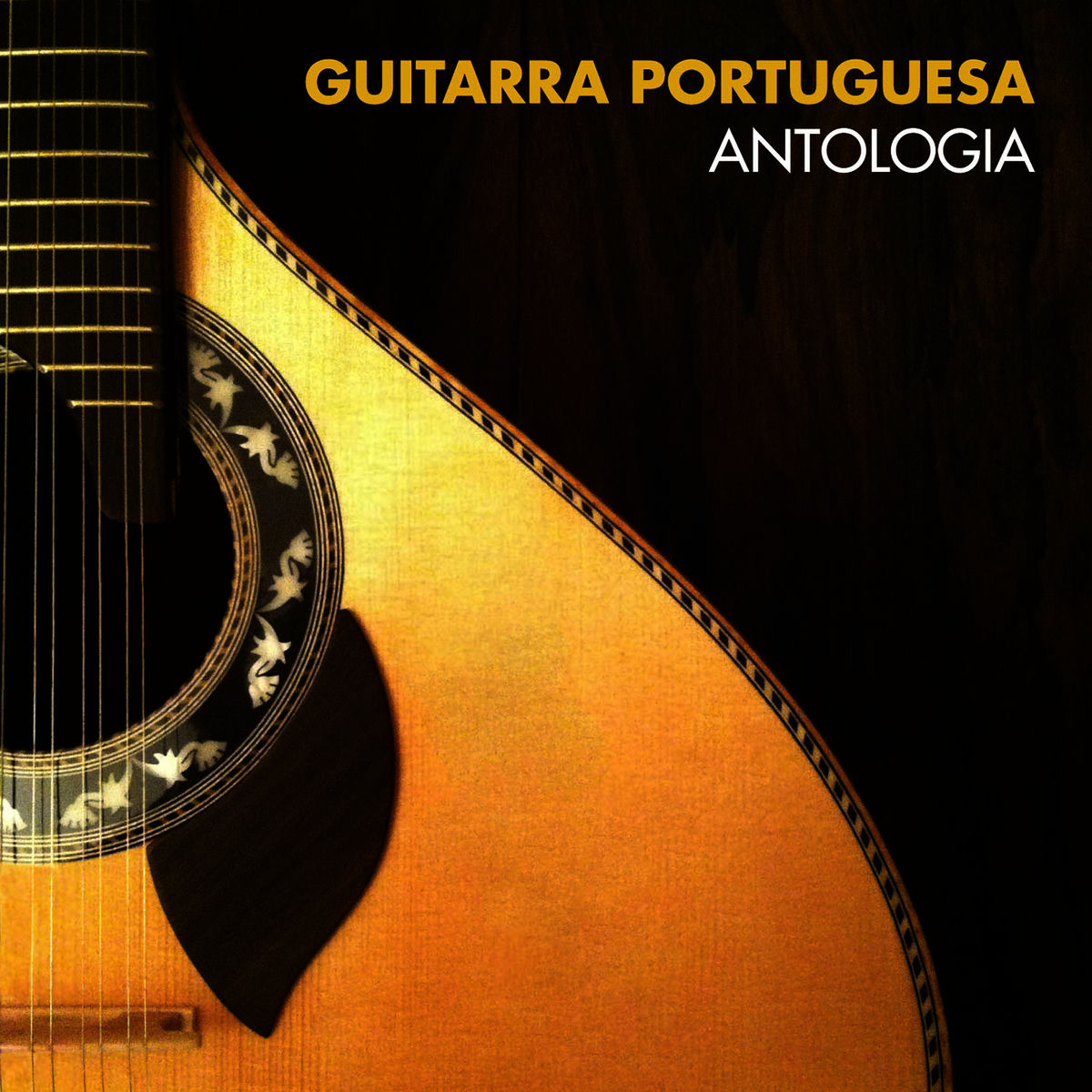Album cover of Guitarra Portuguesa Antologia
