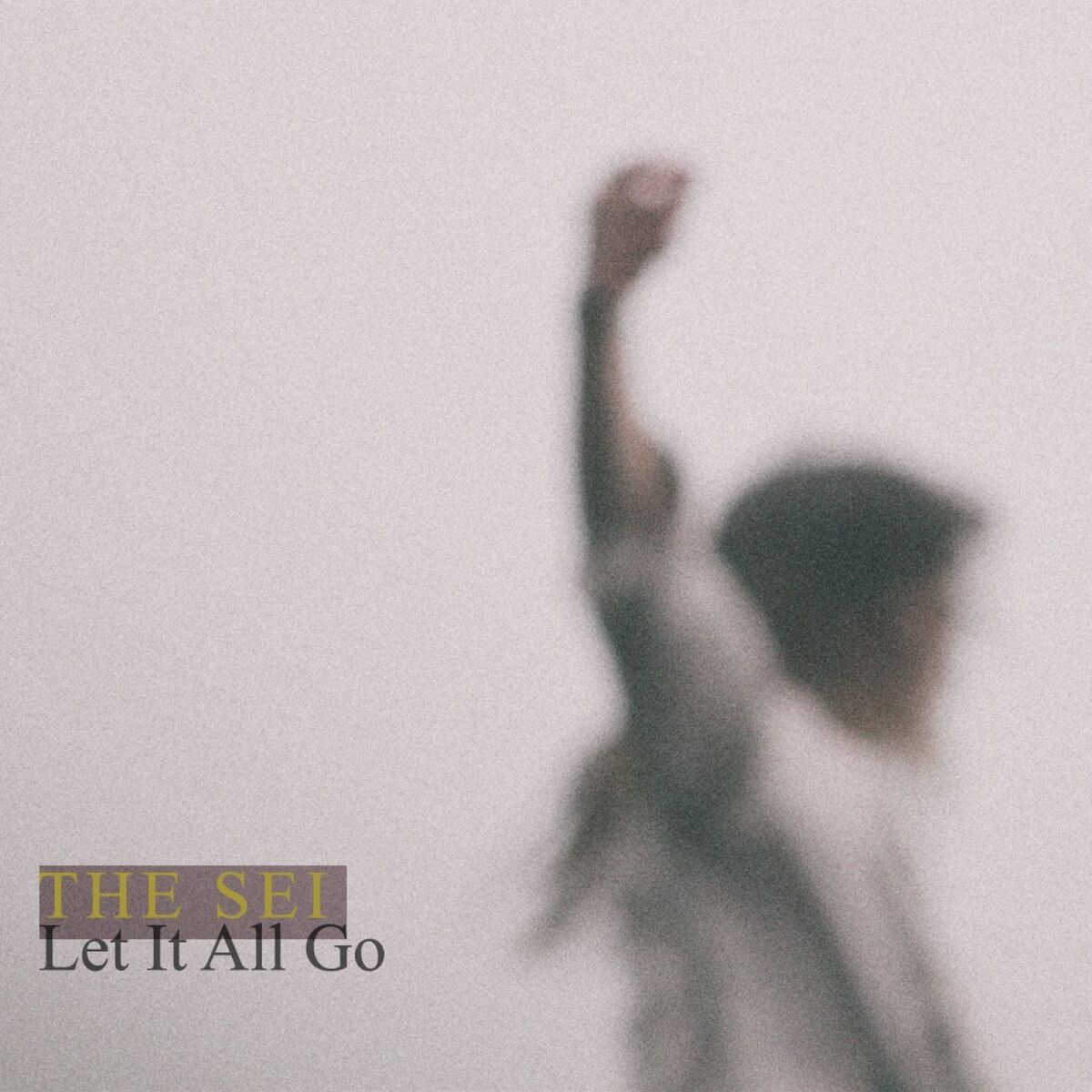 Album cover of Let It All Go