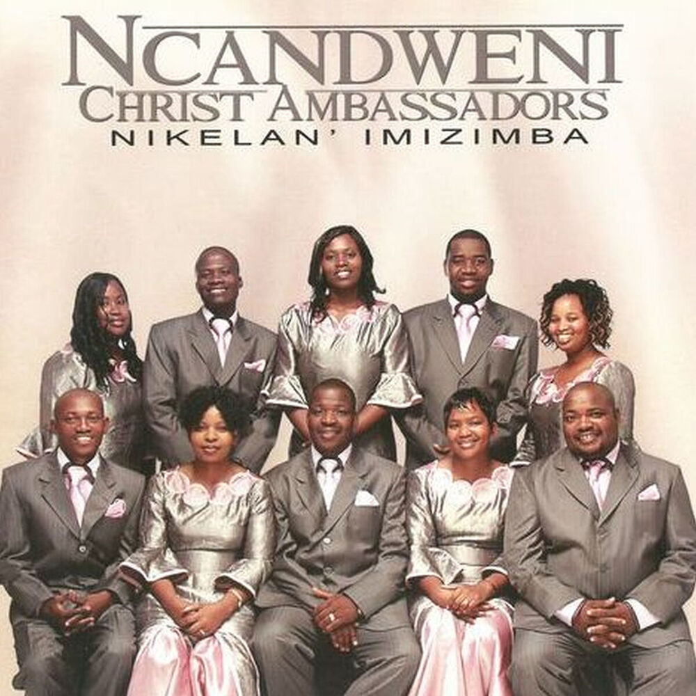 Picture of Nikelan' imizimba