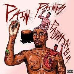 Cover of Pain Paints Paintings