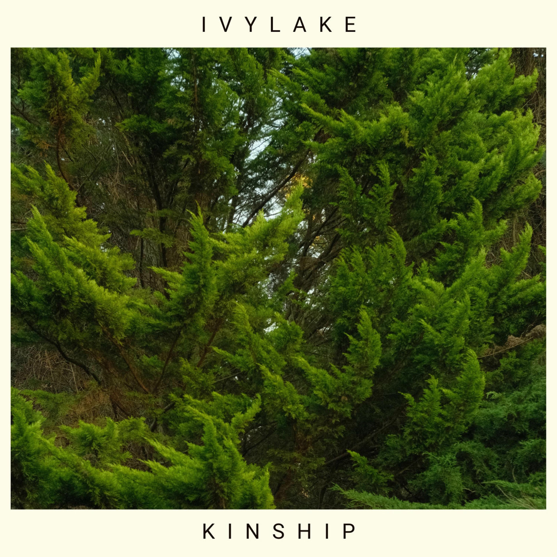 Album cover of Kinship