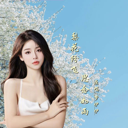 梨花纷飞思念如雨 (DJ版)