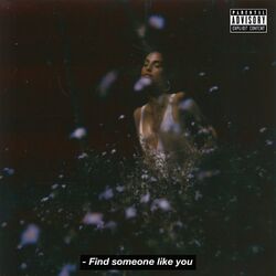 Cover of Find Someone Like You