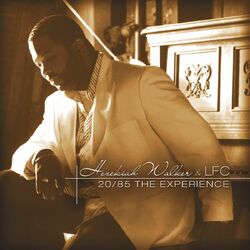 Cover of 20/85 The Experience