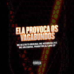 Cover of Ela Provoca os Vagabundo by undefined