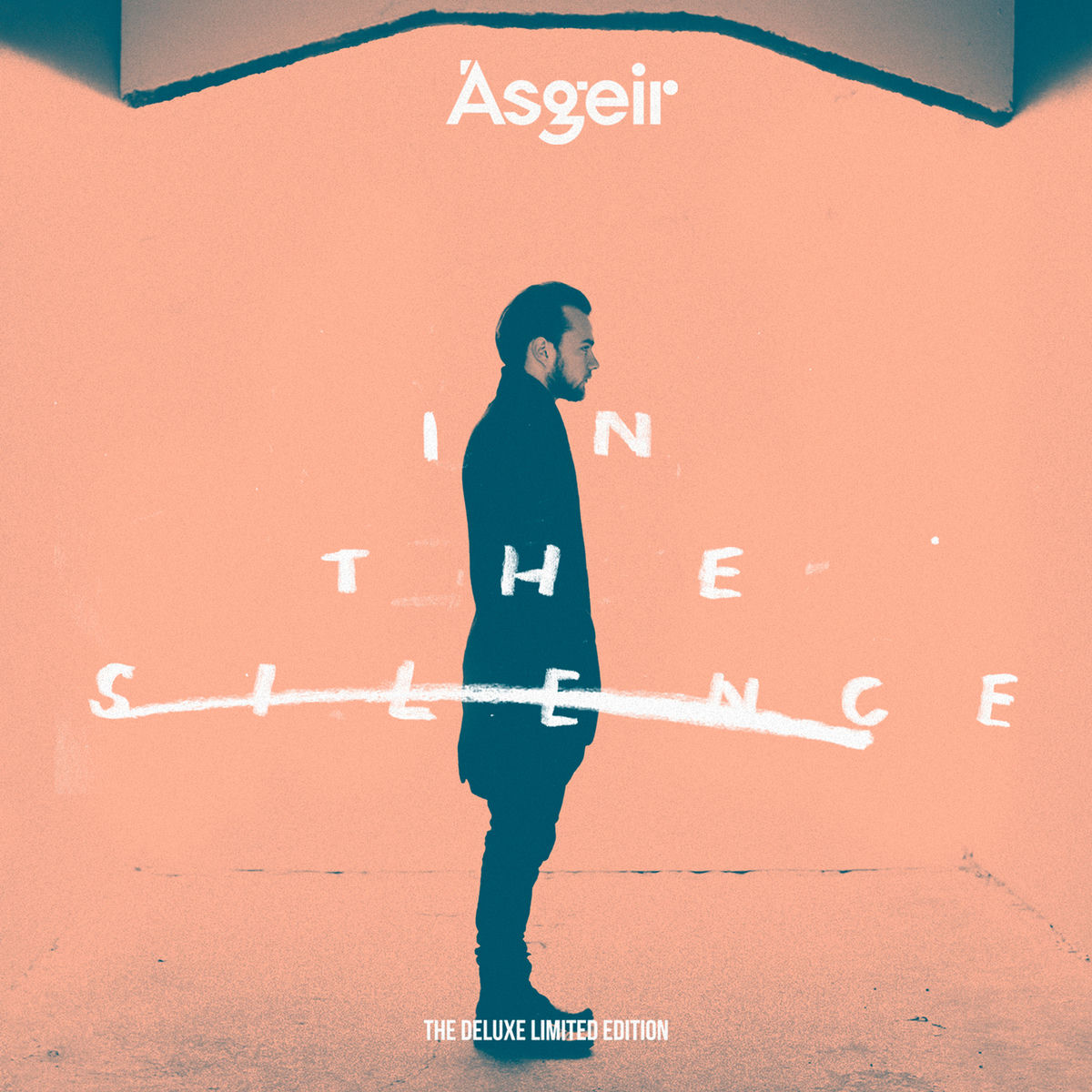 Album picture of In the Silence (The Deluxe Edition)