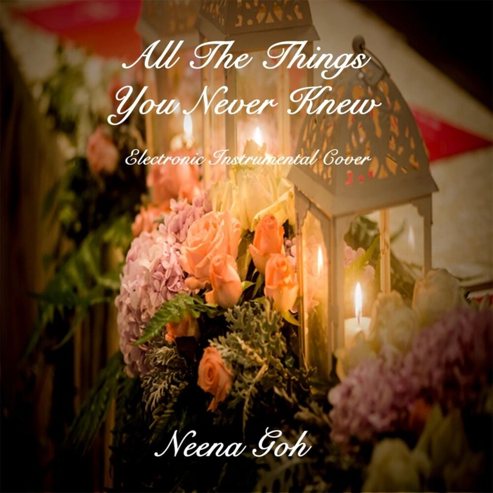 Picture of All the Things You Never Knew (Electronic Instrumental)
