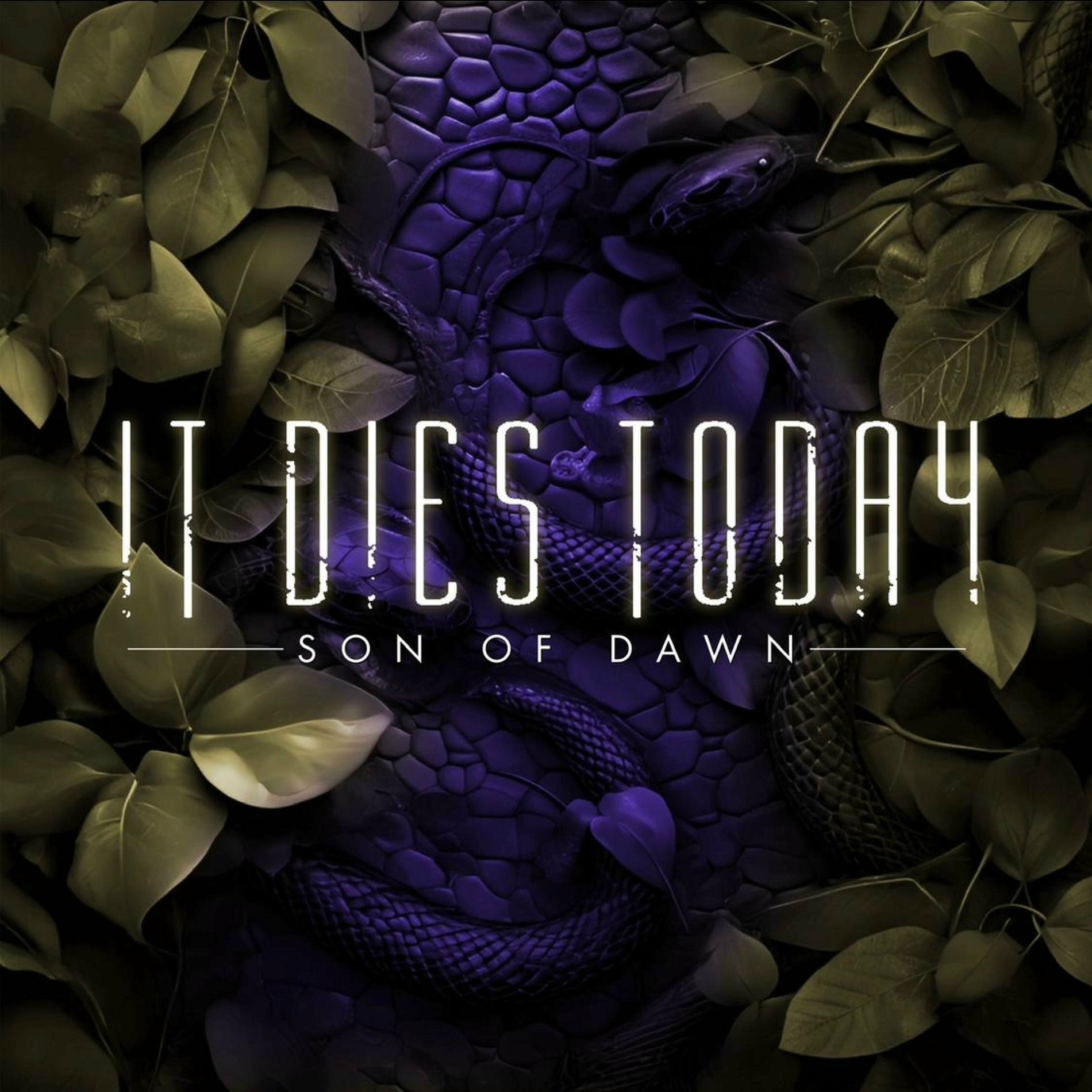 Album cover of Son of Dawn