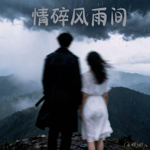 情碎风雨间