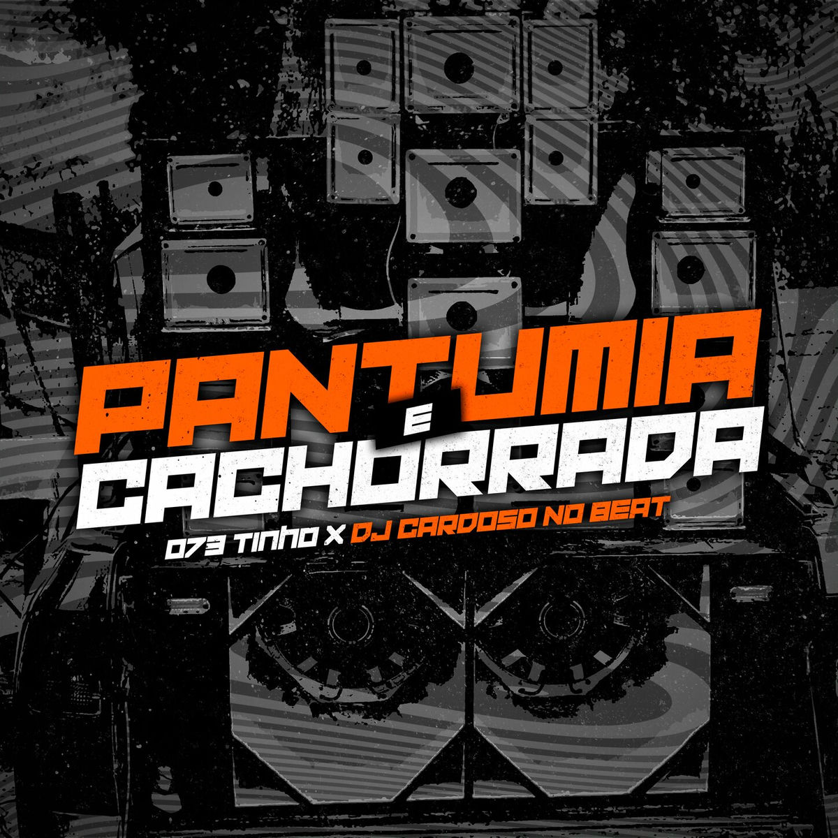 Album cover of Pantumia e Cachorrada