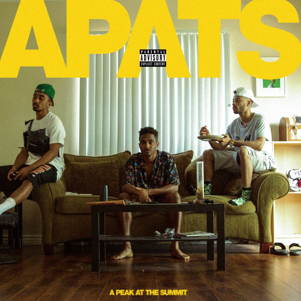 Album cover of A Peak at the Summit