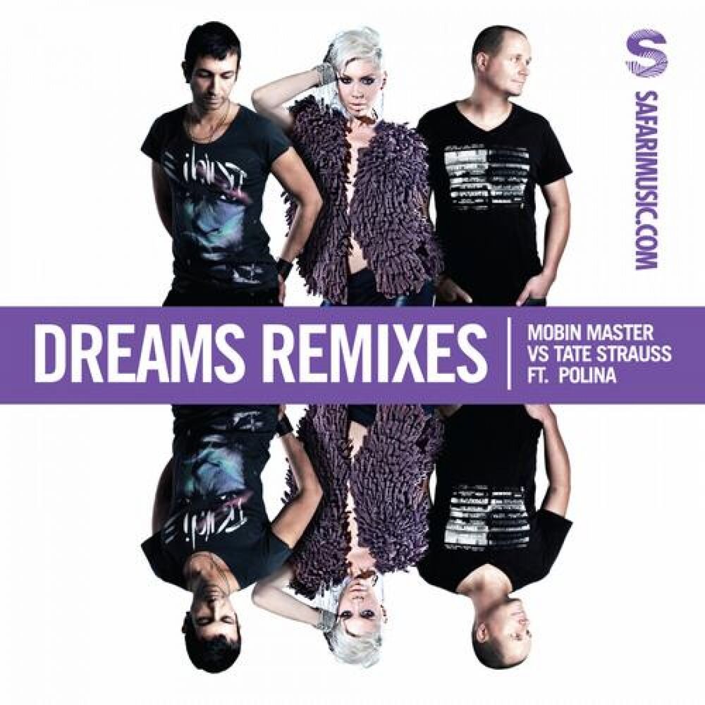 Picture of Dreams (Remixes)