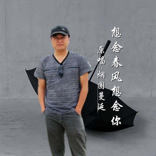 想念春风想念你 (DJ版)