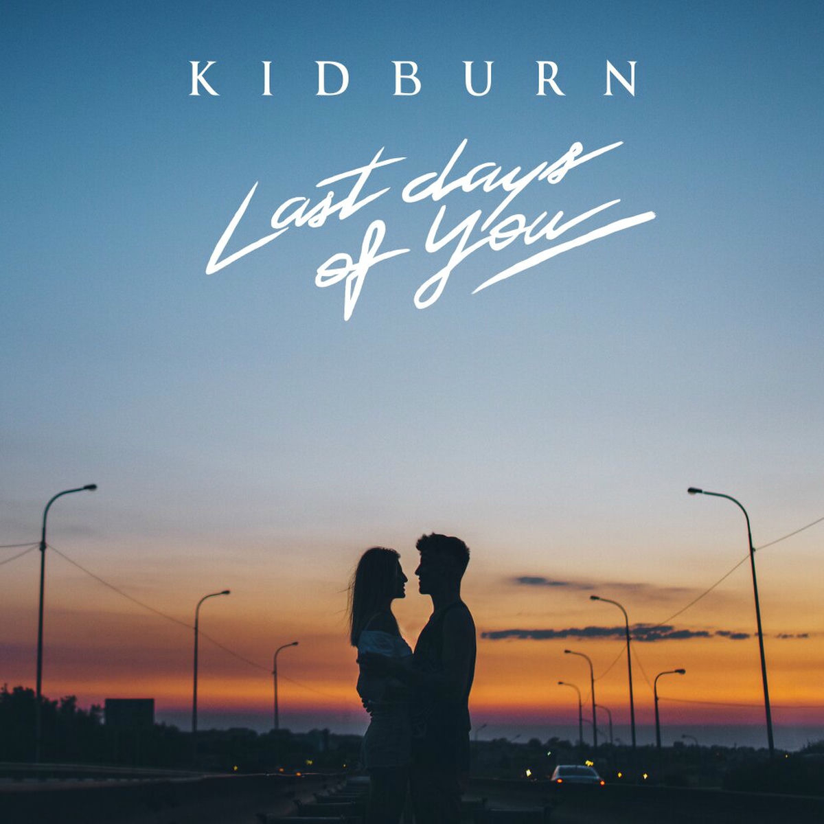 Album cover of Last Days Of You
