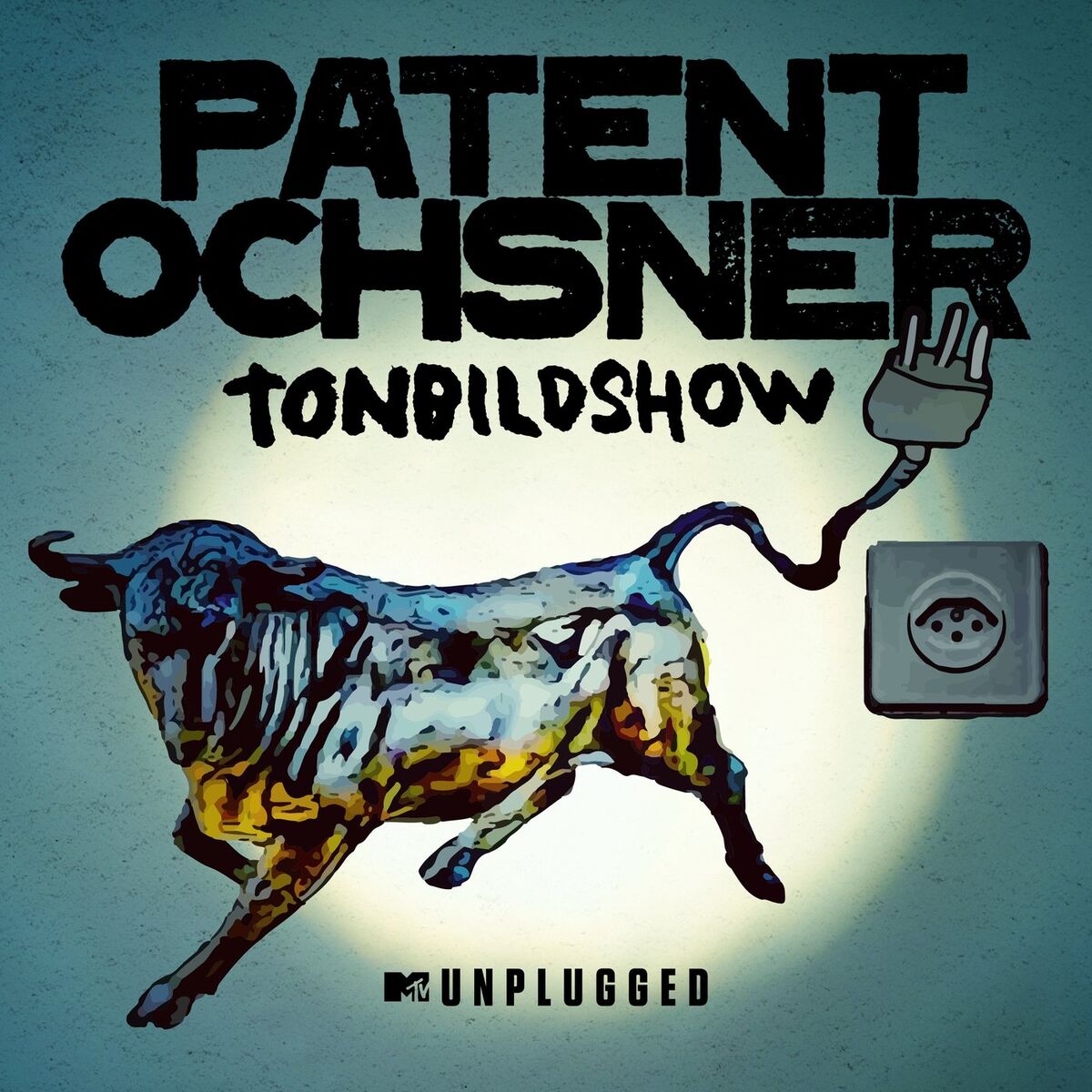 Album cover of MTV Unplugged Tonbildshow