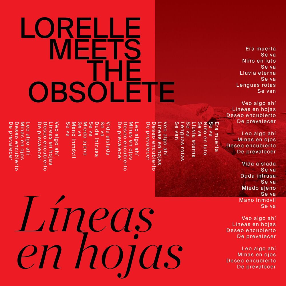 Picture of Líneas en Hojas