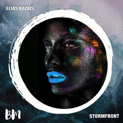 Cover of Stormfront