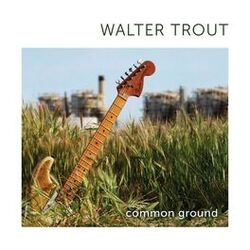 Cover of Common Ground